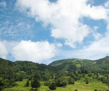 20090706-1.jpg